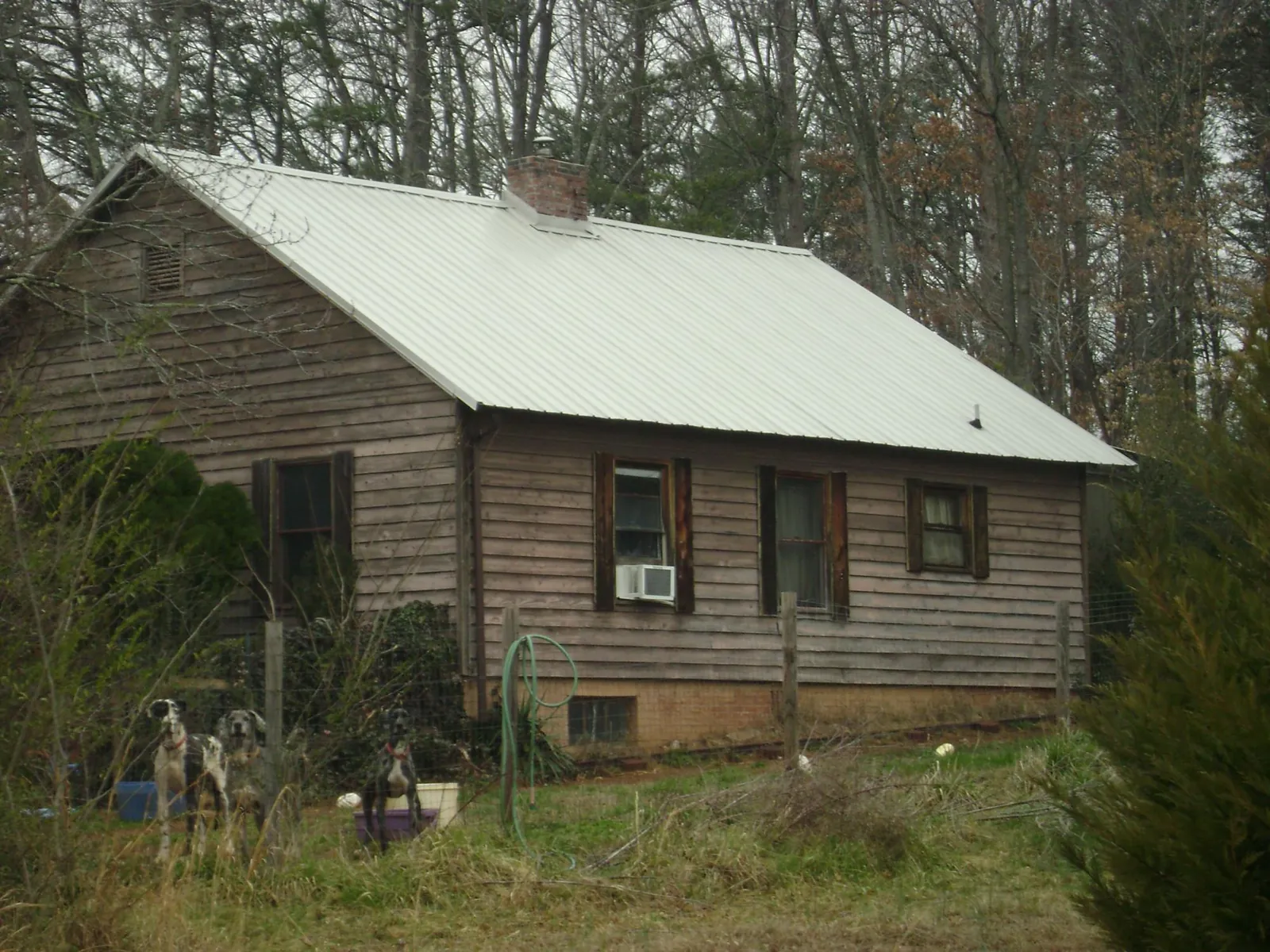 White metal roof on an old wood sided farmhouse, from a Asphalt Shingle Roof Repair job in Xenia